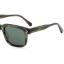 C1 OLIVE